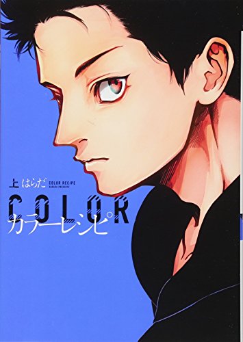 カラーレシピ(上) (ディアプラス・コミックス)
