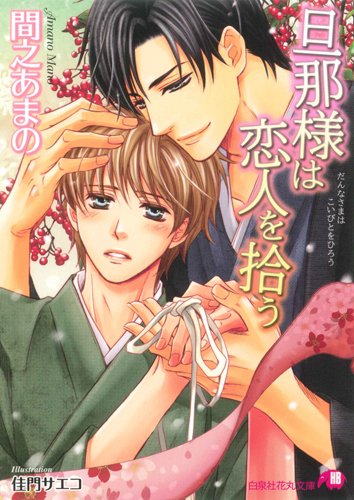 旦那様は恋人を拾う (白泉社花丸文庫)
