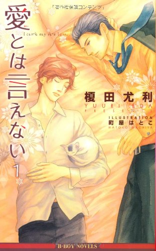 愛とは言えない〈1〉 (ビーボーイノベルズ)