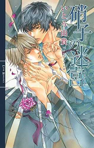 硝子の迷宮 (リンクスロマンス)